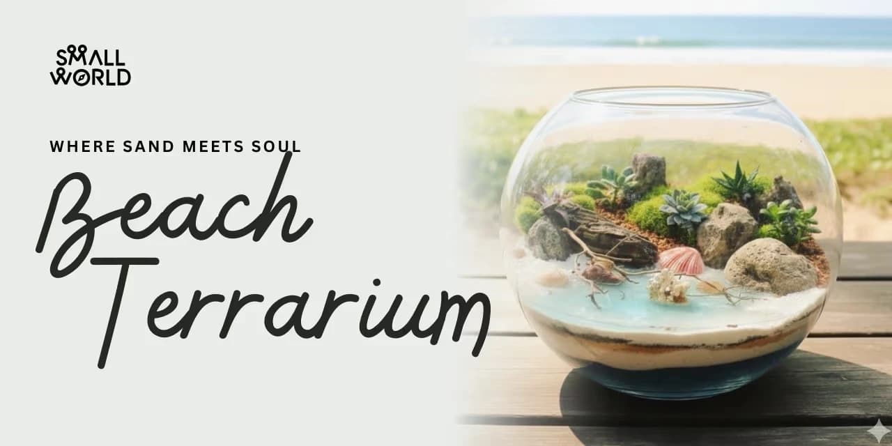 Beach Terrarium | Slide 1