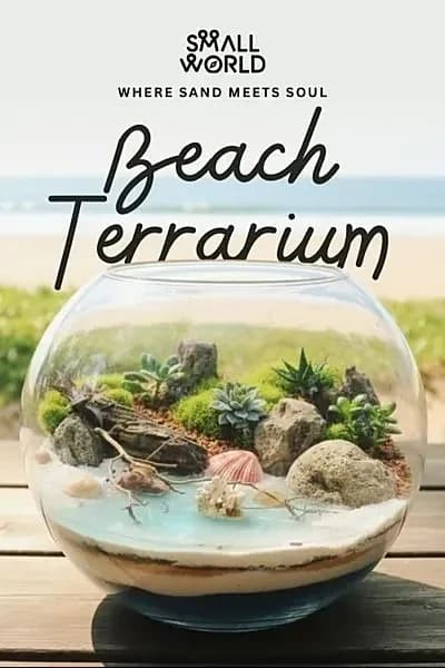Beach Terrarium | Slide 1